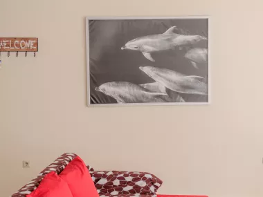 Accommodation Designed for Student Pilots 