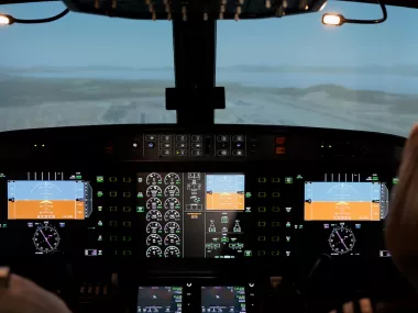 Flight Simulator | Photo 22