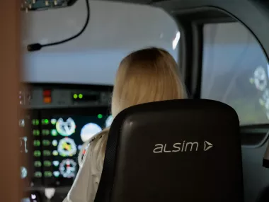 Flight Simulator | Photo 3