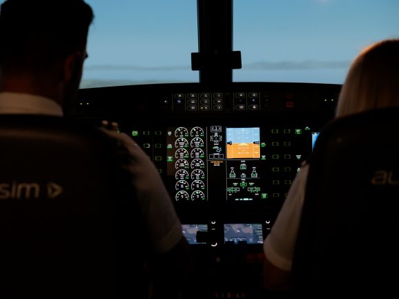 In-house Flight Simulator